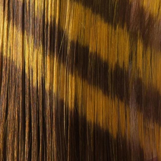 Monthly vivid refresh